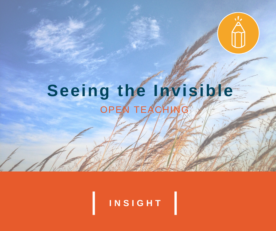 Open Teaching: Seeing the Invisible
