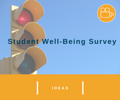 Student Well-Being Survey